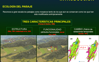 Lineamientos para el manejo de la conectividad de paisajes de alta montaña…