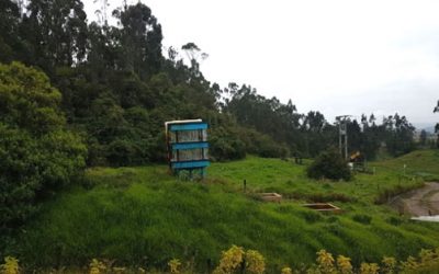 Estudio de Impacto ambiental proyecto en virtud de aporte Mina Buenos Aires